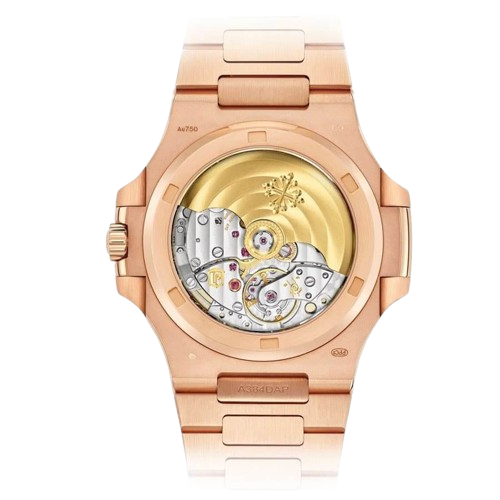 Nautilus or rose