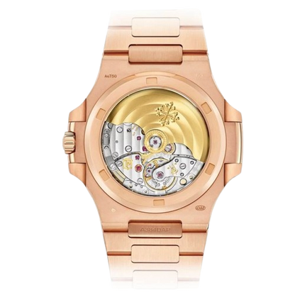 Nautilus or rose